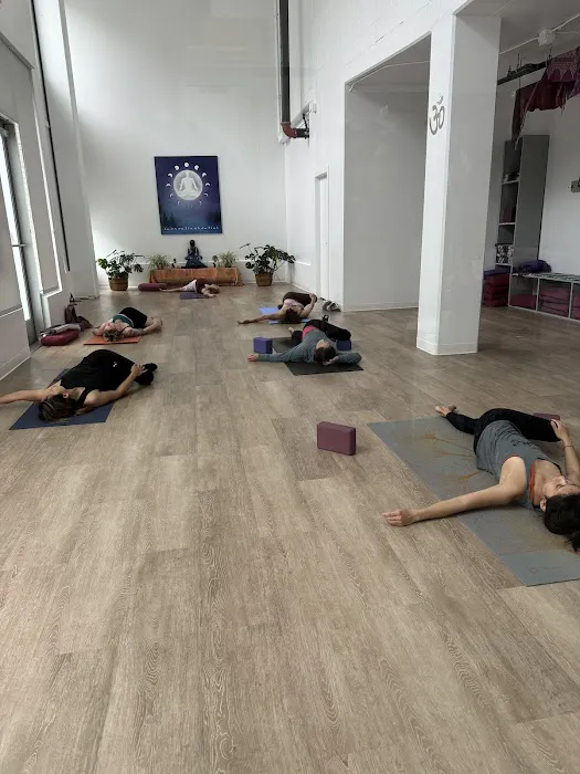Downtown Yoga Shala Picture 6
