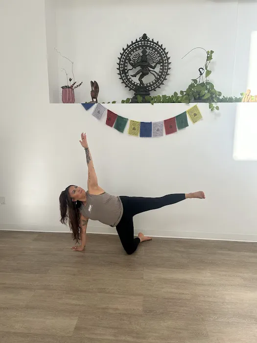 Downtown Yoga Shala Picture 4