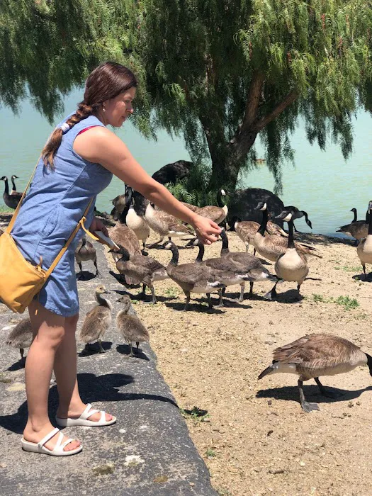 Cunningham Park Open Gym Picture 6
