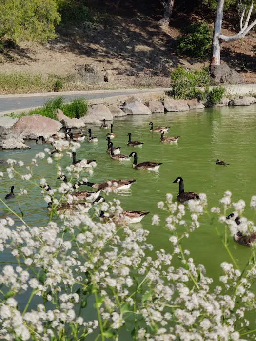 Cunningham Park Open Gym Picture 3