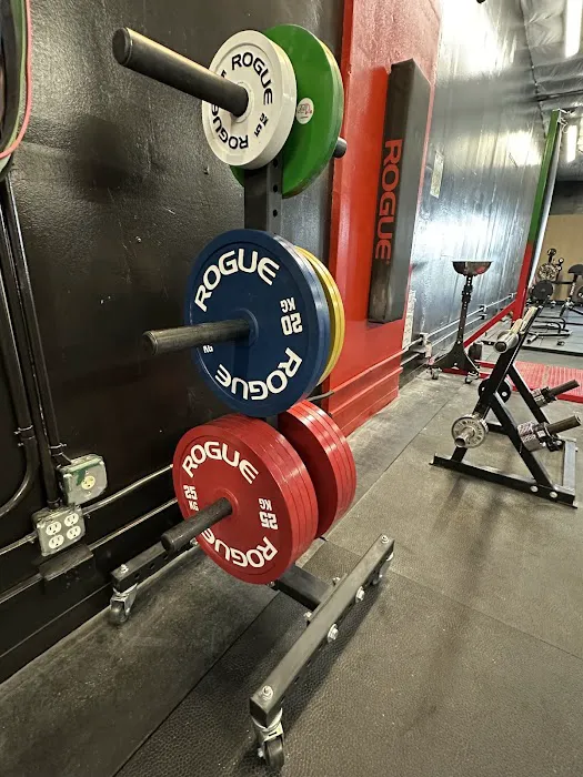 Age-Less Strength Picture 10