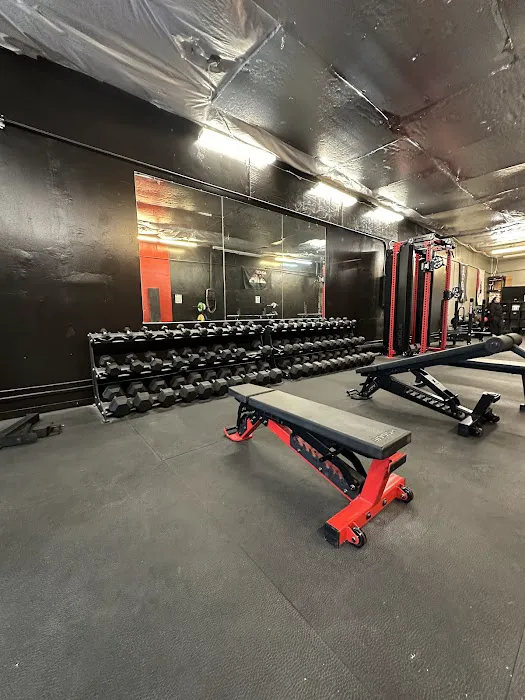 Age-Less Strength Picture 4