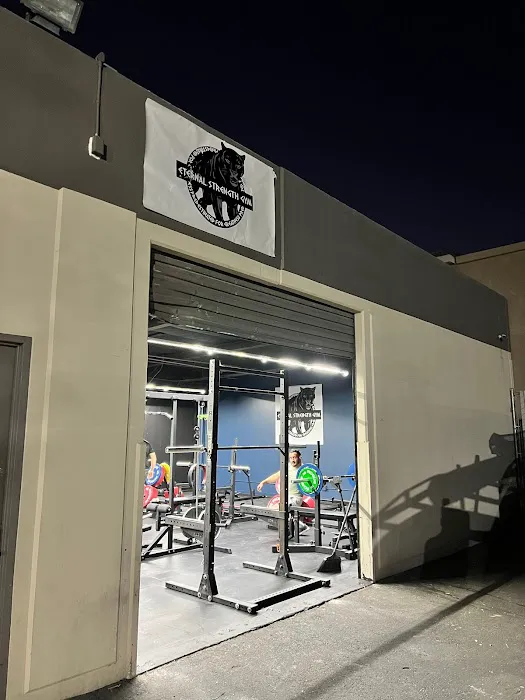 Eternal Strength Gym Picture 8