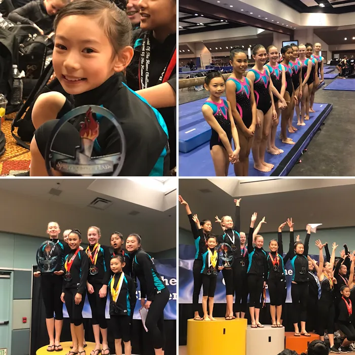 Twisters Gymnastics Picture 8