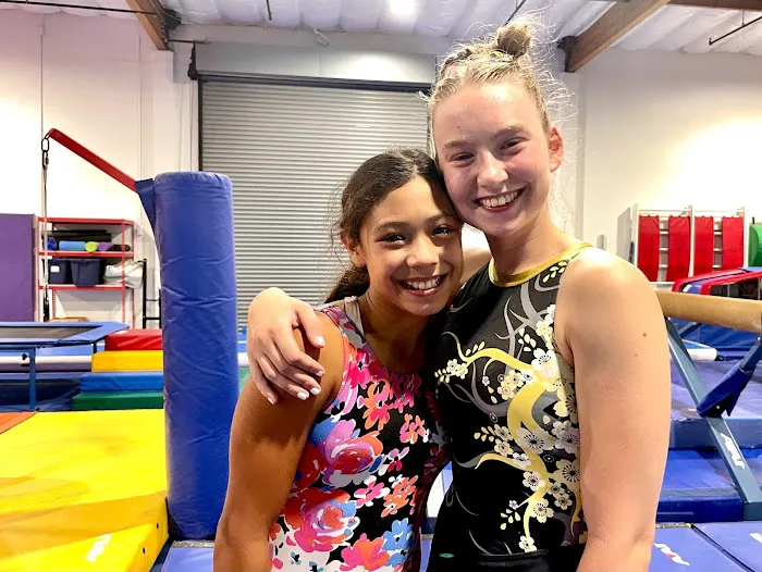 Twisters Gymnastics Picture 4