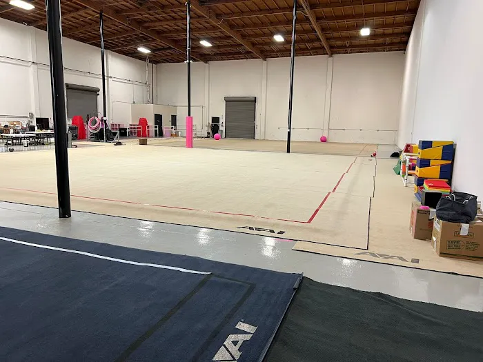 Diana's Rhythmics (San Jose) Picture 8