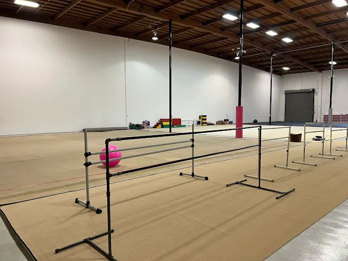 Diana's Rhythmics (San Jose) Picture 9