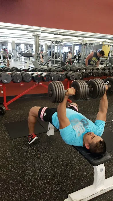 American Barbell Clubs Picture 6