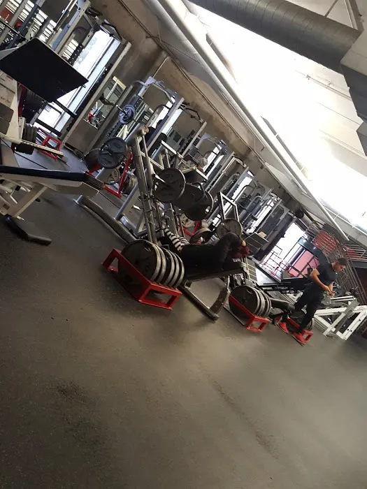 American Barbell Clubs Picture 5