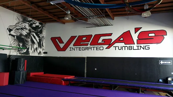Vega Gym Picture 4
