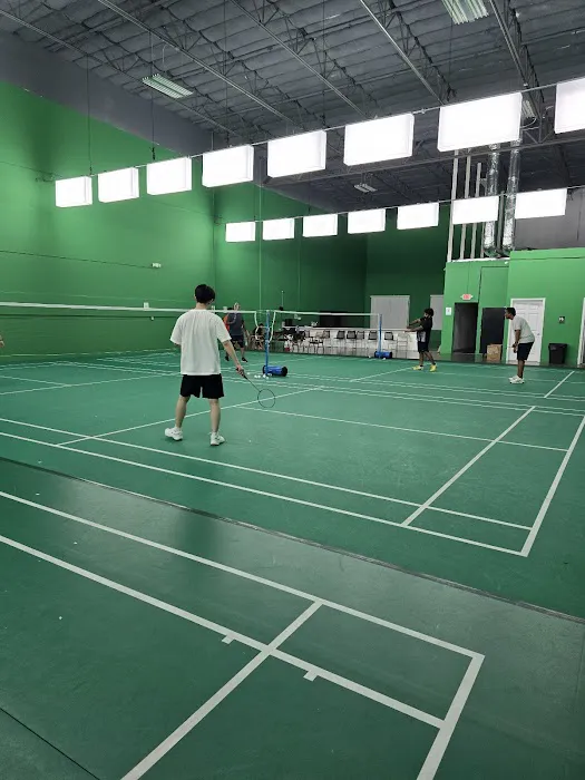 SK Badminton Picture 2