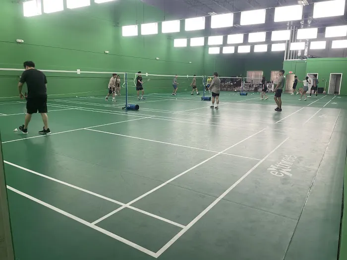 SK Badminton Picture 1