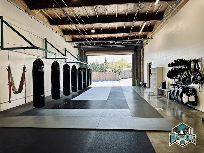 Rumble City Boxing Picture 6