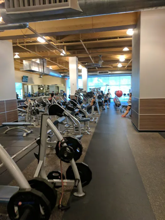 24 Hour Fitness Picture 6