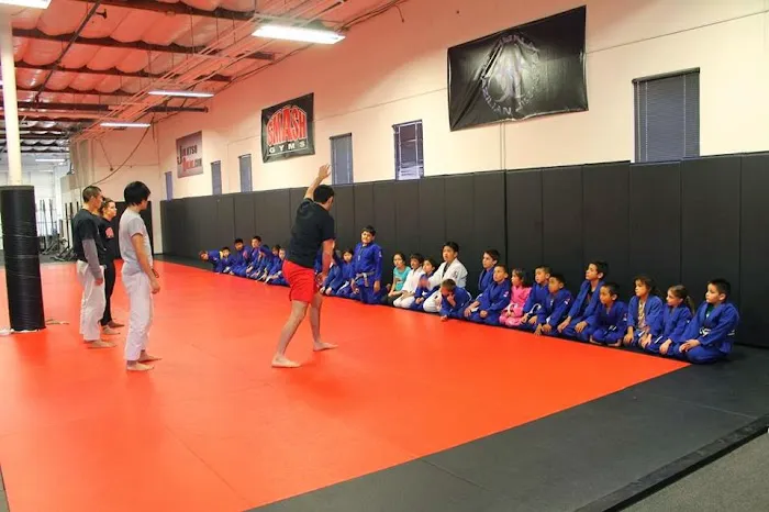 Smash Gyms San Jose Picture 2