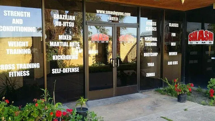 Smash Gyms San Jose Picture 8