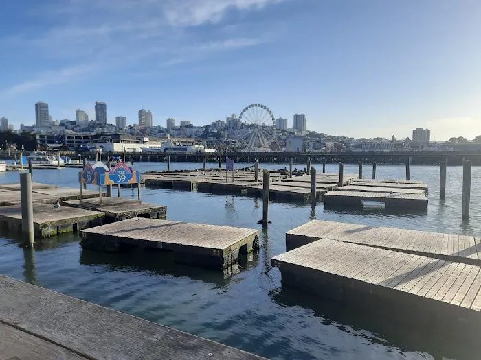 Planet Fitness Picture 2