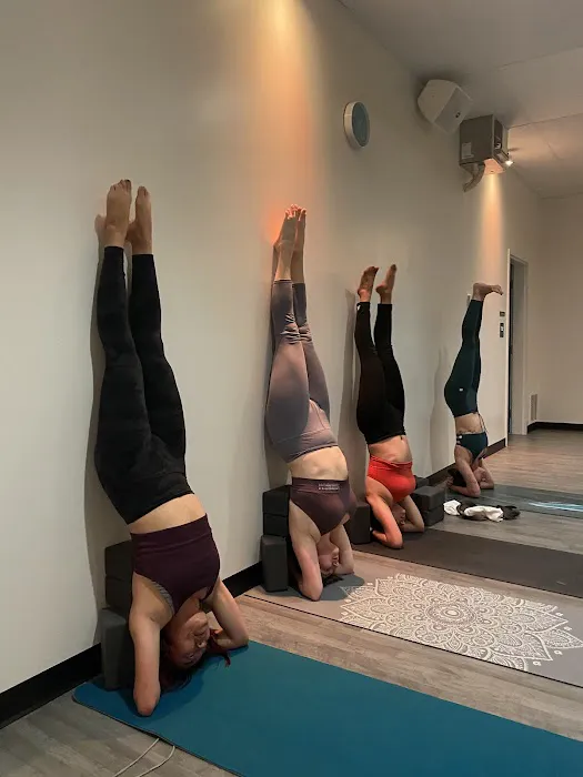 YogaSix - Santa Clara Picture 1