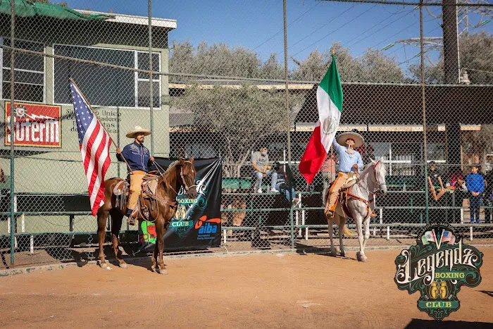 Legendz Boxing Club Picture 9