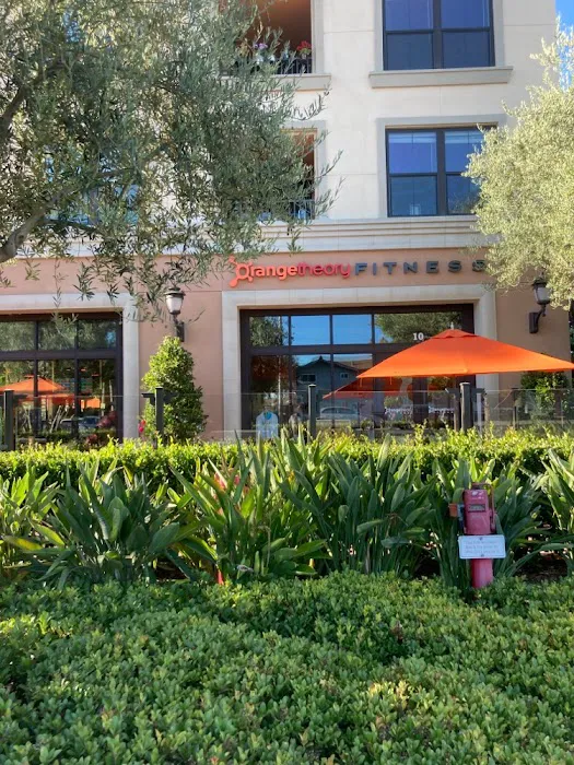 Orangetheory Fitness Picture 10