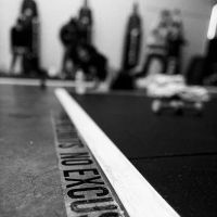 Main Sav Fitness ico