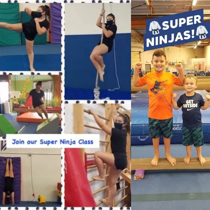 Apex Gymnastics Picture 10