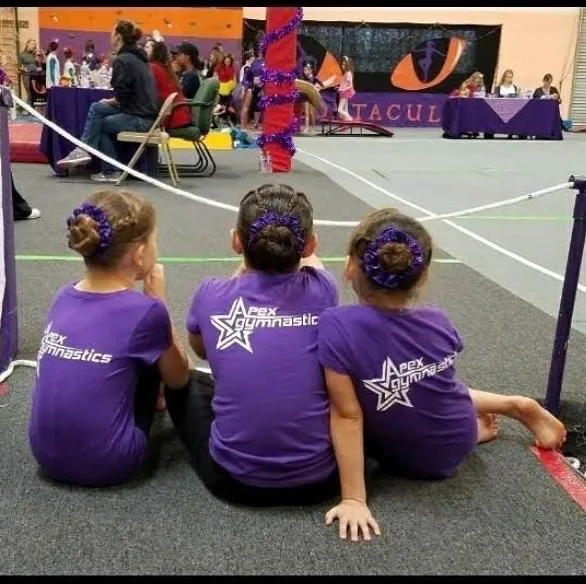 Apex Gymnastics Picture 9