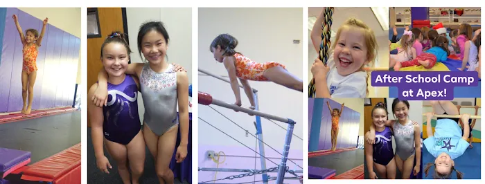 Apex Gymnastics Picture 2