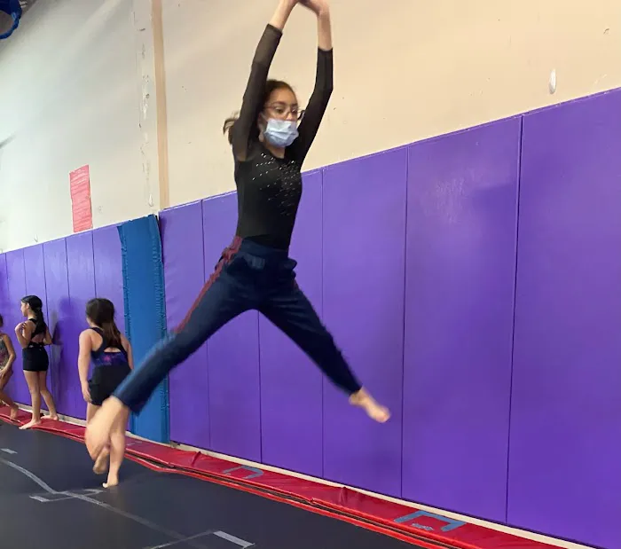 Apex Gymnastics Picture 5