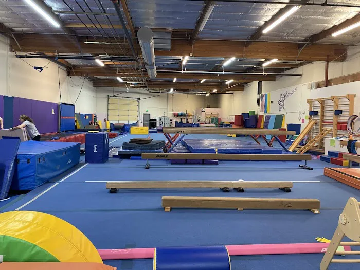 Apex Gymnastics Picture 1