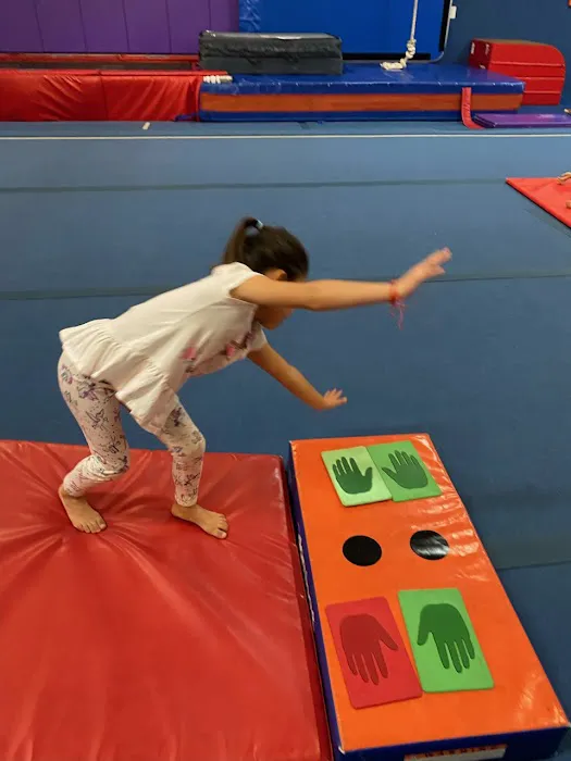 Apex Gymnastics Picture 7