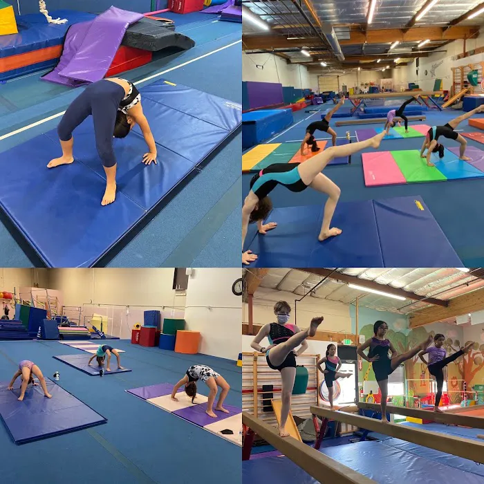 Apex Gymnastics Picture 3