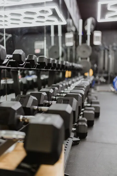 Hella Strength Picture 6