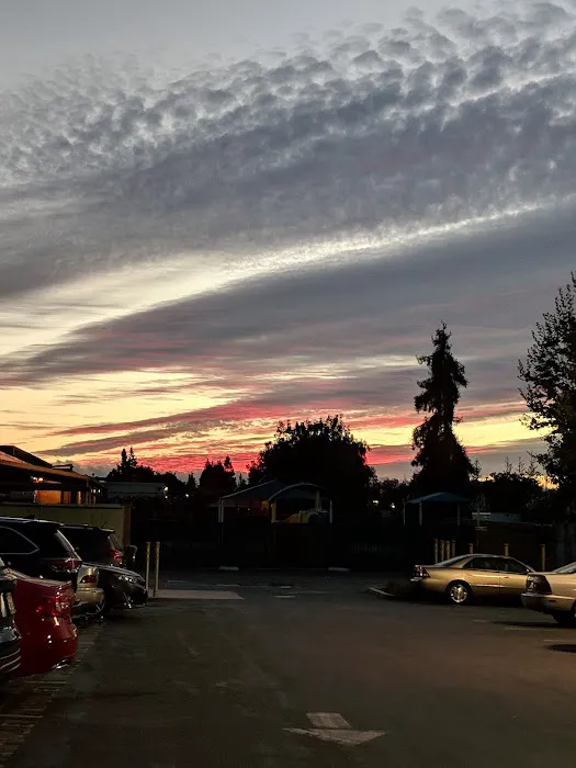 City Sports Club Picture 3