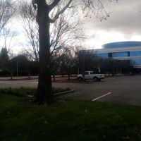 City Sports Club ico