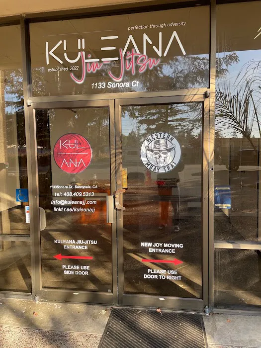 Western Muay Thai Picture 8