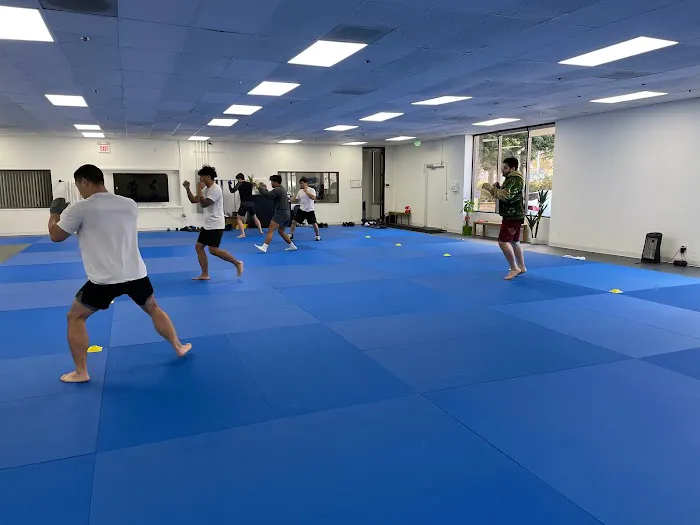 Western Muay Thai Picture 3