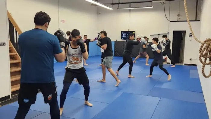 Western Muay Thai Picture 1