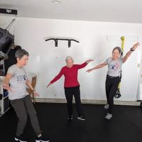 Parkies Punch Back ico