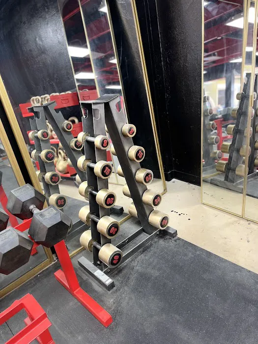 Thunder Fitness San Jose Picture 3