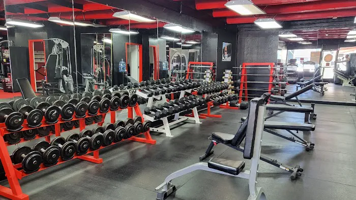 Thunder Fitness San Jose Picture 4