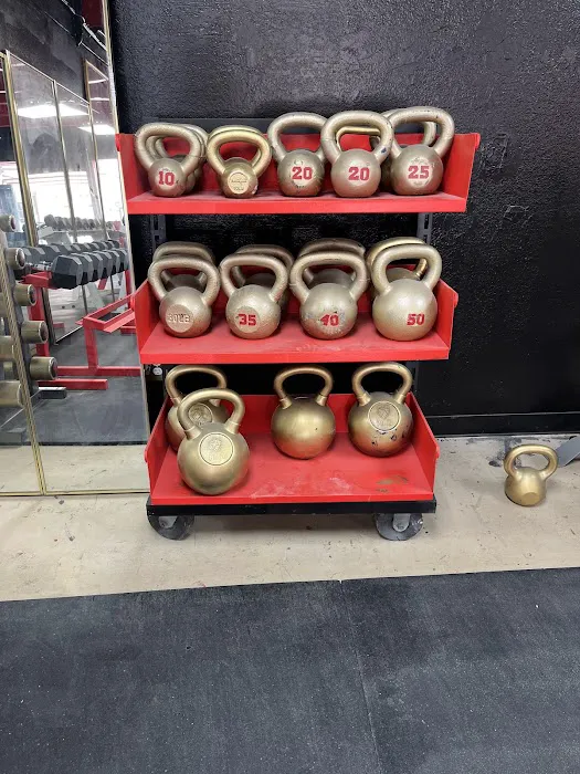 Thunder Fitness San Jose Picture 2