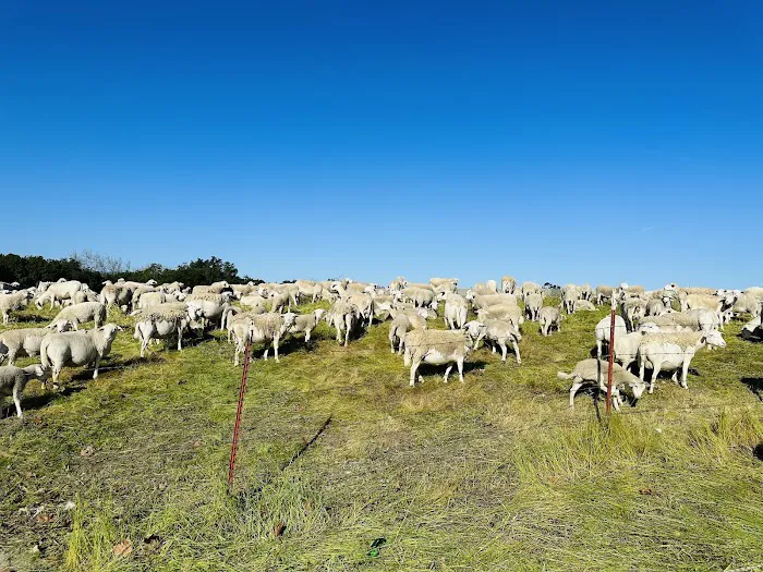 The Plex Athletic Club – Formerly Club Sport Picture 2