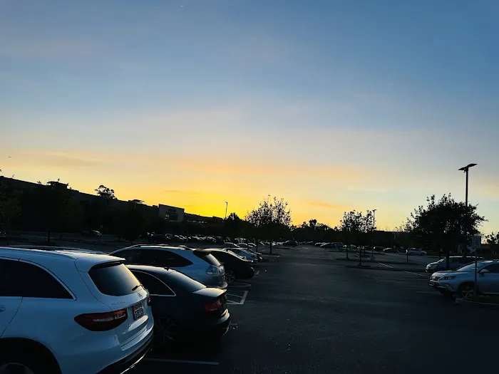 The Plex Athletic Club – Formerly Club Sport Picture 3