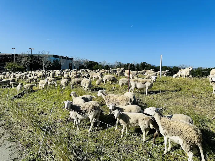 The Plex Athletic Club – Formerly Club Sport Picture 4