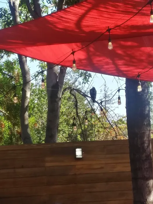 Forma Gym San Jose Picture 6