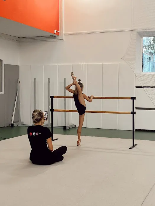 Rhythmic gymnastics MIG Picture 9