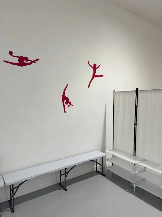 Rhythmic gymnastics MIG Picture 1