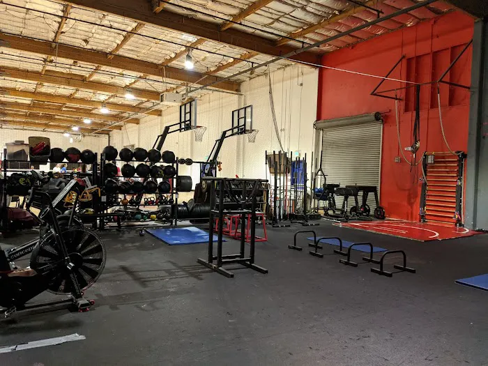 Ironwill Fitness Picture 4