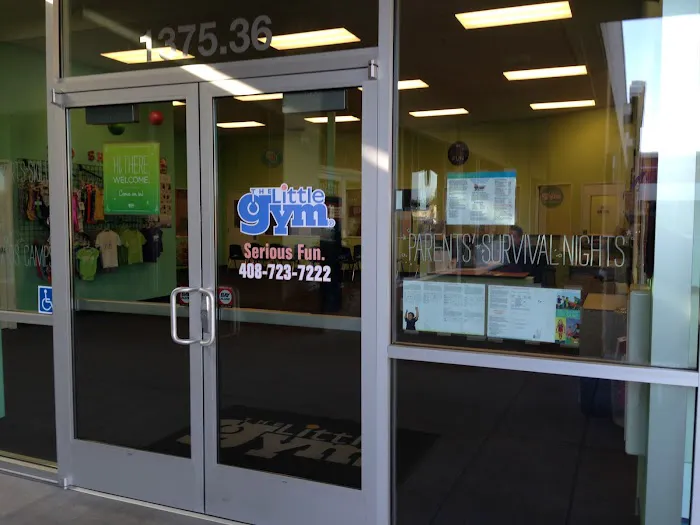 The Little Gym of San Jose (South) Picture 4